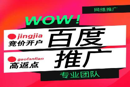 实战经验：竞价推广公司成功案例解析